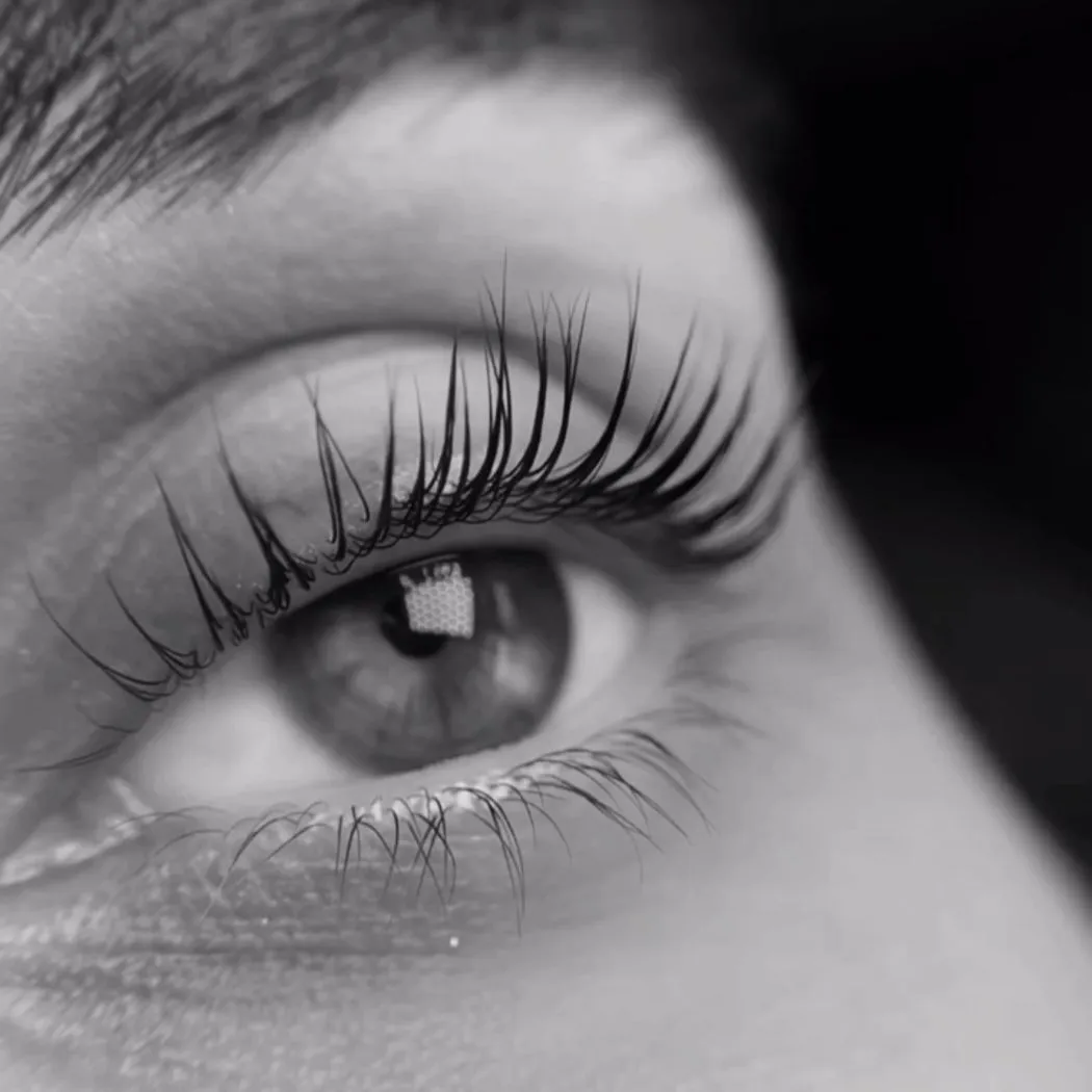 Wimpernlifting bei Belize Beauty in Hamburg-Eppendorf – natürlich geschwungene Wimpern